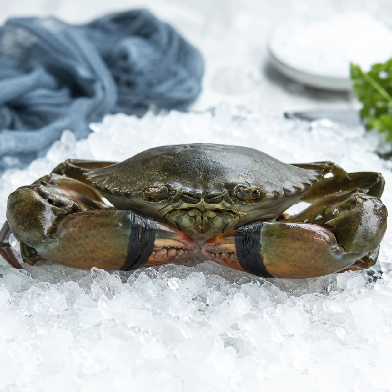Fresh Flower Crab