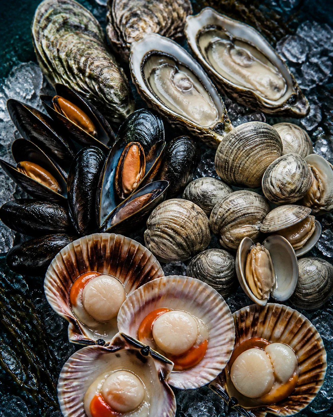 Shellfish